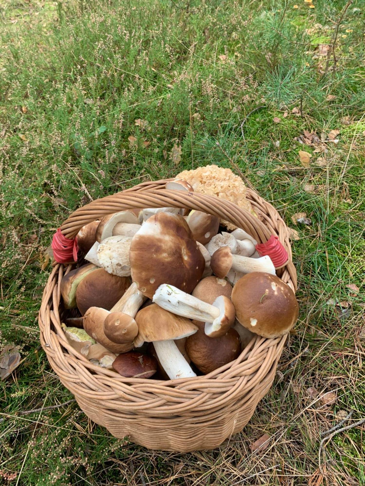 Projekt 1 Ferienhaus